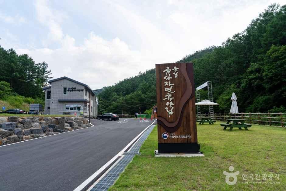 Geumsan National Natural Recreational Forest