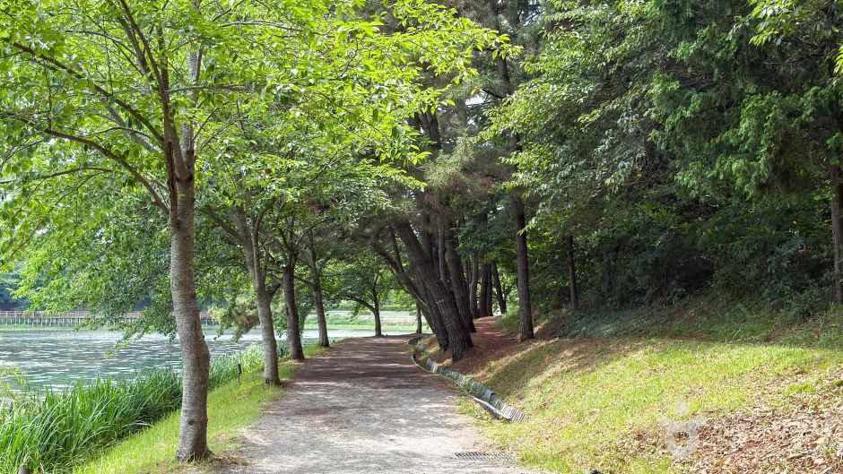 은파호수공원