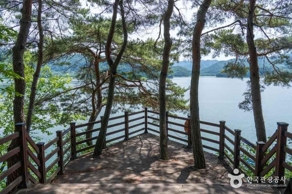 [횡성호수길] 5구간