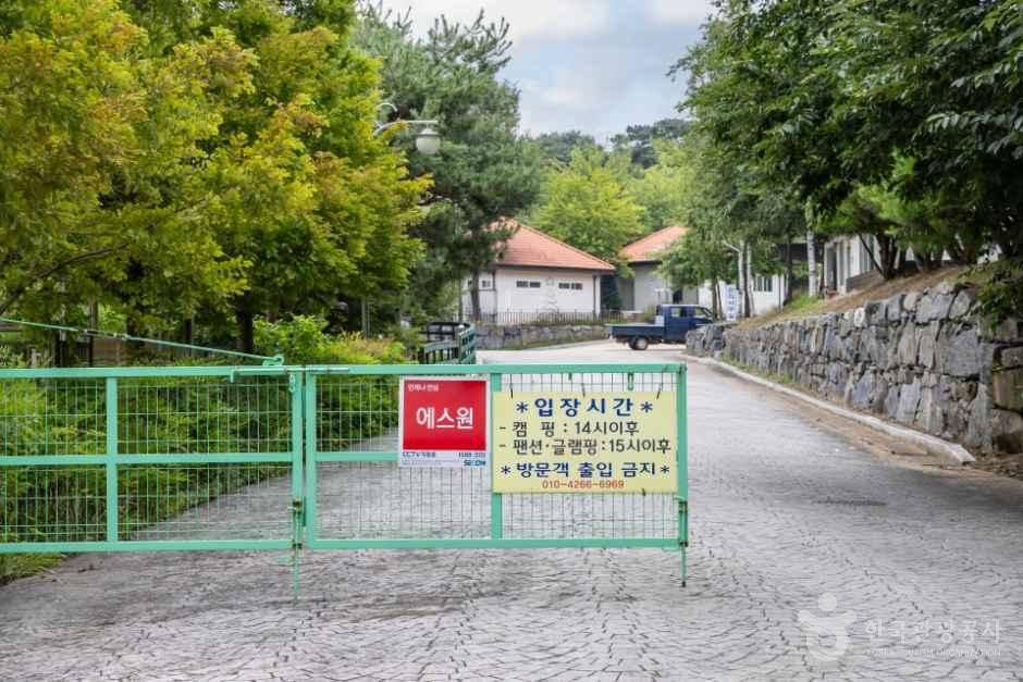스칸디캠프팜 사진 2