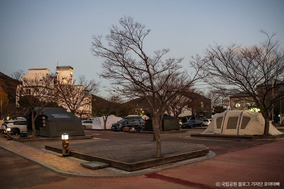 학동자동차야영장
