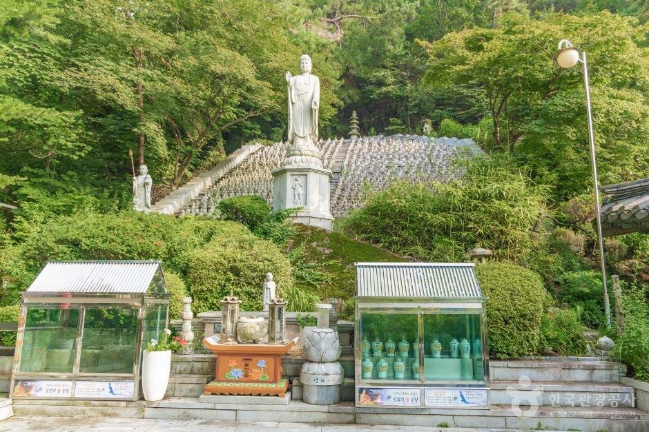 도안사
