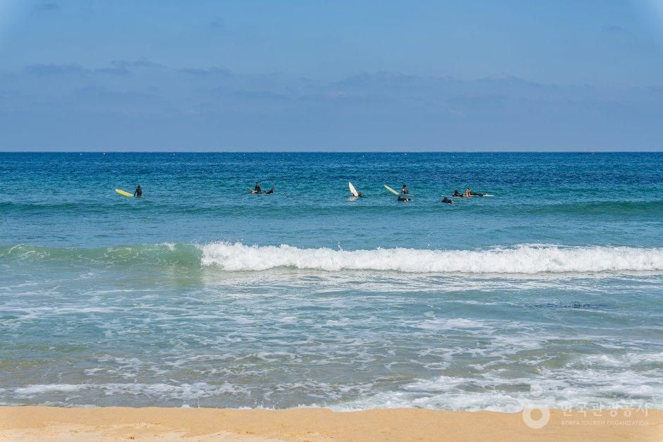 죽도해수욕장