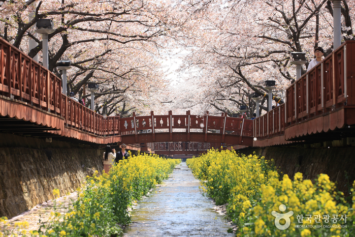 Yeojwacheon Stream