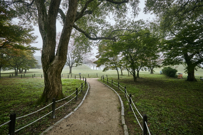 Gyeongju Gyerim Forest
