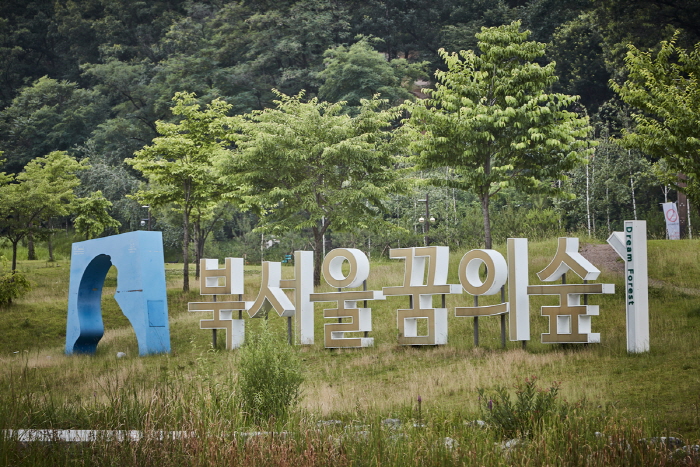 Парк Лес мечты в северном Сеуле