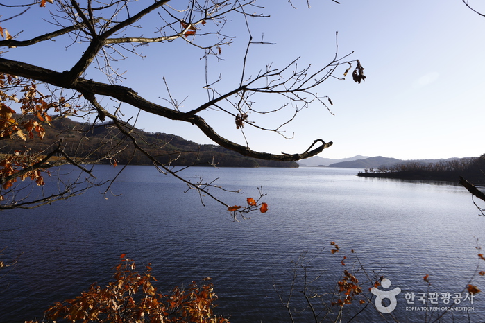 土桥水库(候鸟栖息地)