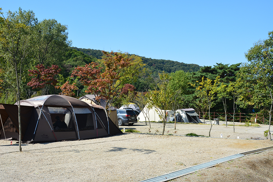 栗谷キャンプ場