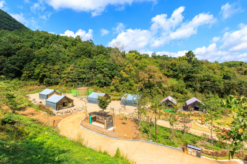 军威战斗胜利纪念公园露营地