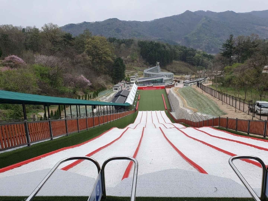 金泉市四季雪橇场