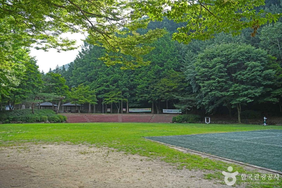 鳳鶴谷森林浴場