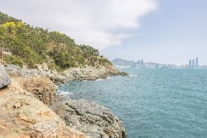 용호동일대 바다낚시