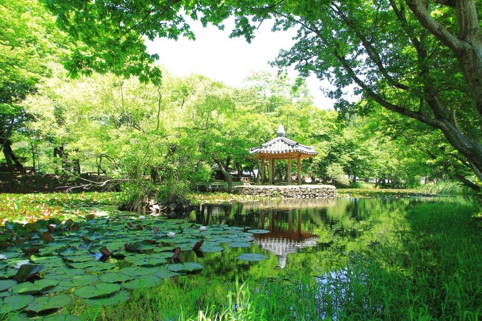 固城长山林