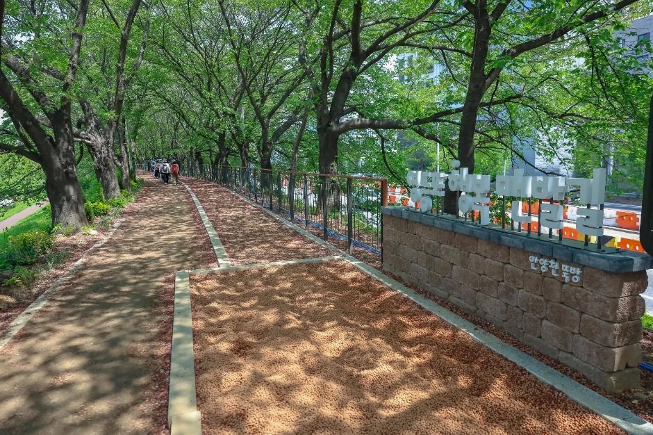 [Seoul Dulle Trail Course 14] Anyangcheon Lower Reach Course