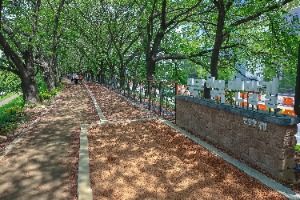 [서울둘레길 14코스] 안양천 하류코스