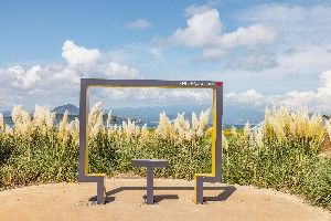 [제주올레 10-1코스] 가파도 올레