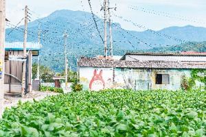 소양 마수벽화마을