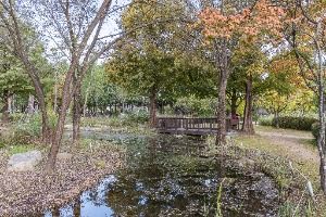 Seoul Iris Garden, an outdoor family place, in Seoul