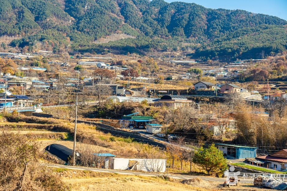 上黄村