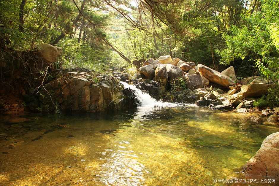 경주_경주국립공원 (6).jpg