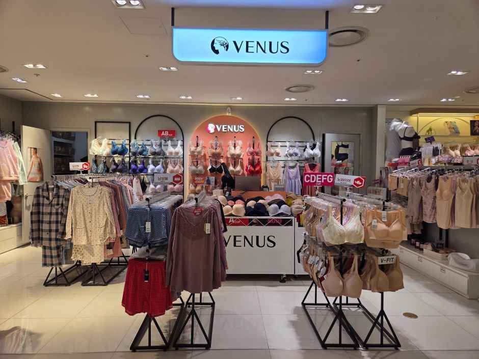 비너스 현대아울렛 동대문점