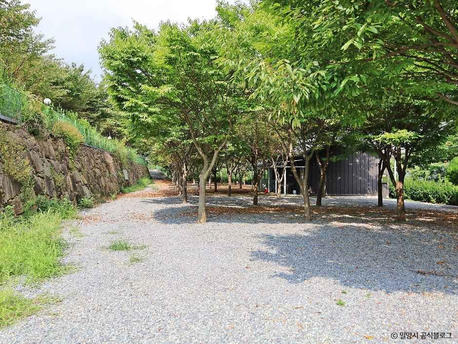 밀양 가보자 캠핑장