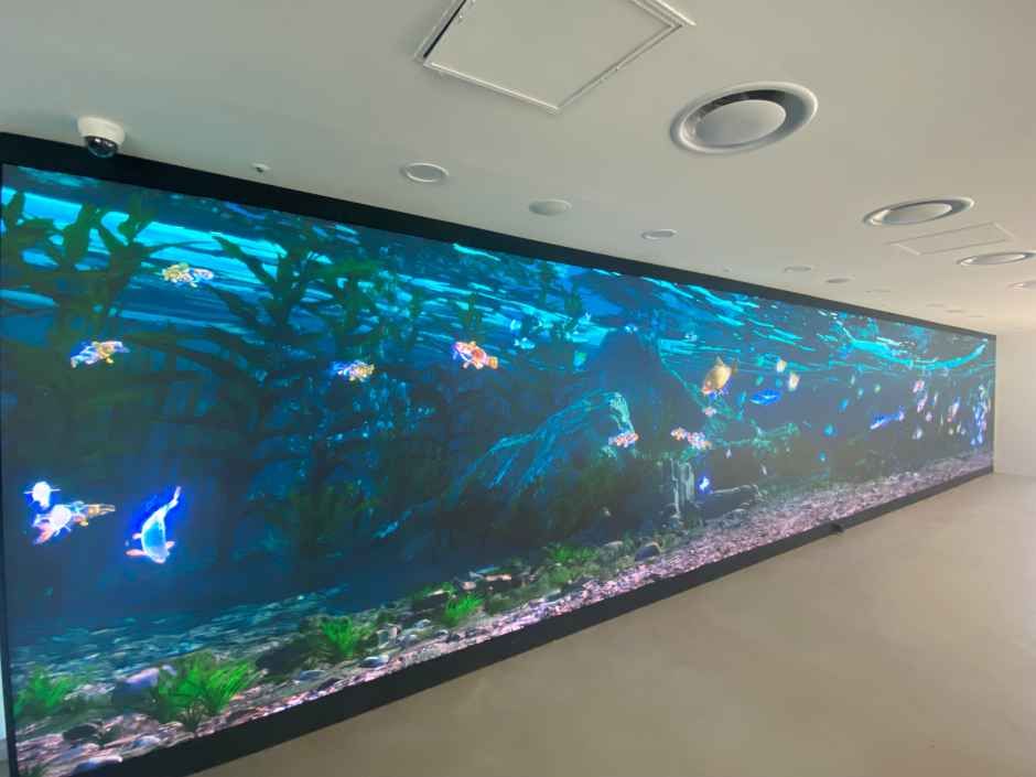 원주_소금산 미디어아트센터 (7).jpg