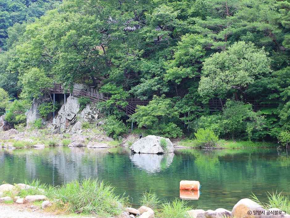 밀양_밀양 유원지 오토캠핑장 (6).jpg