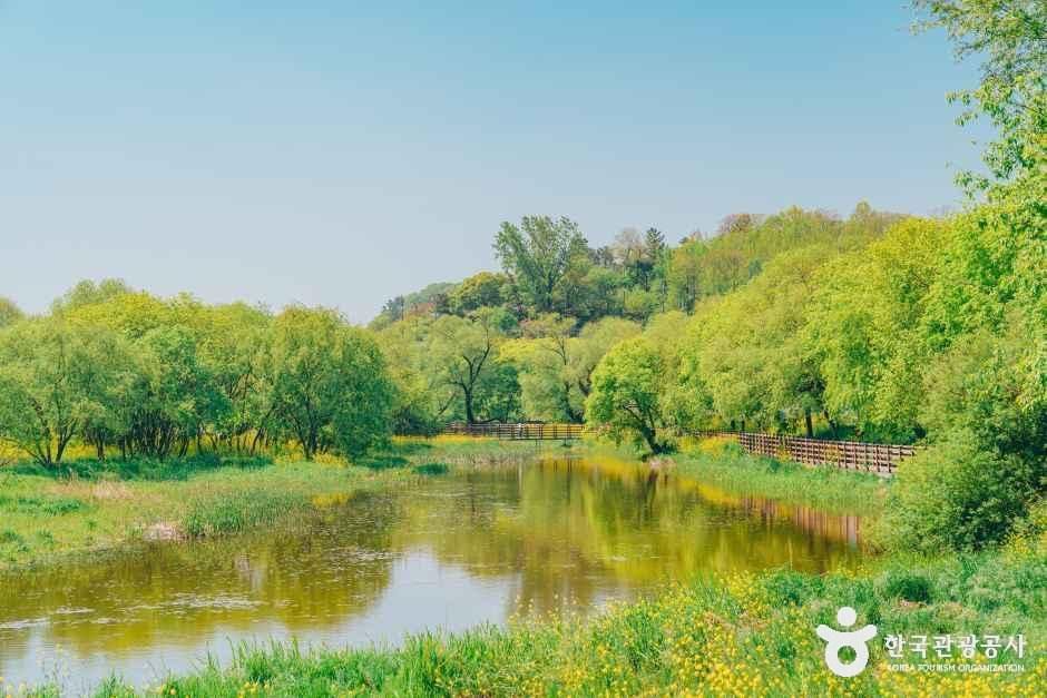 즐길거리 이미지