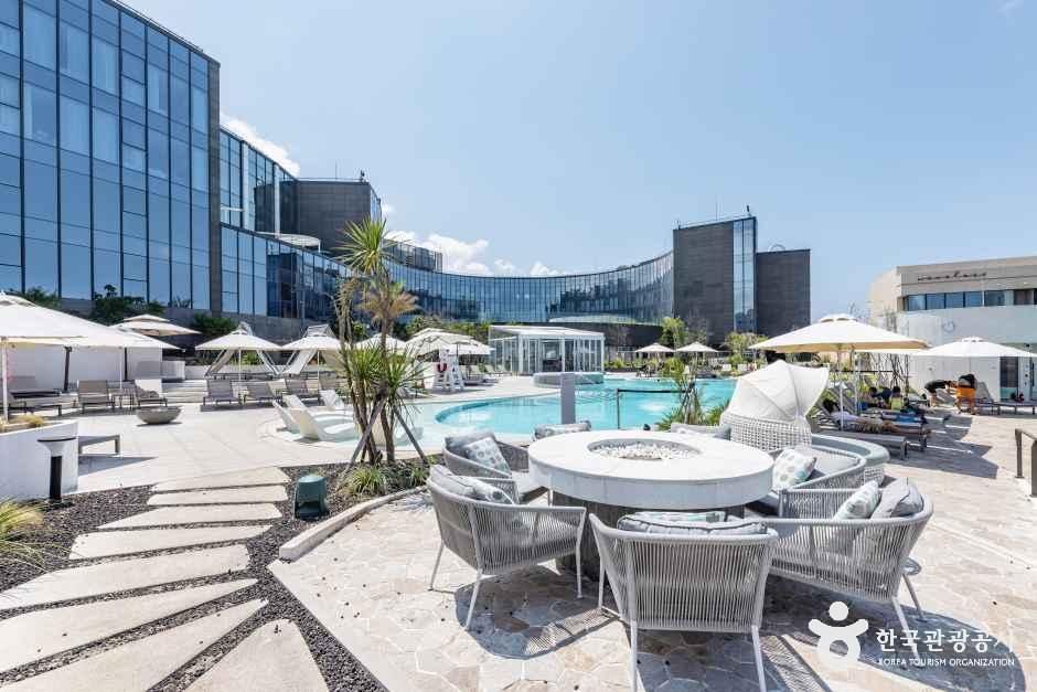 신라스테이 플러스 이호테우