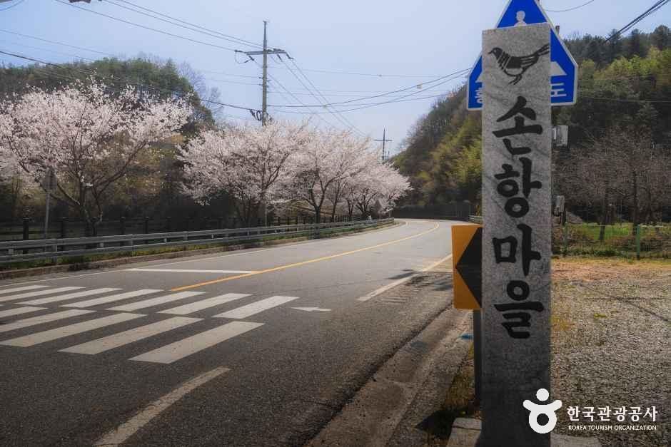 손항마을
