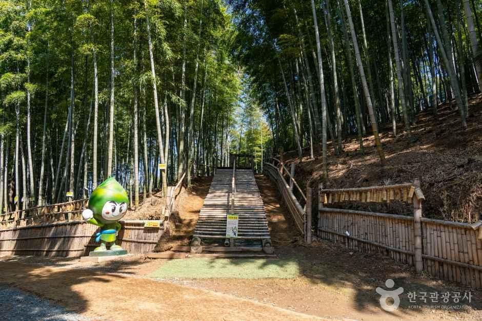 거제맹종죽테마공원