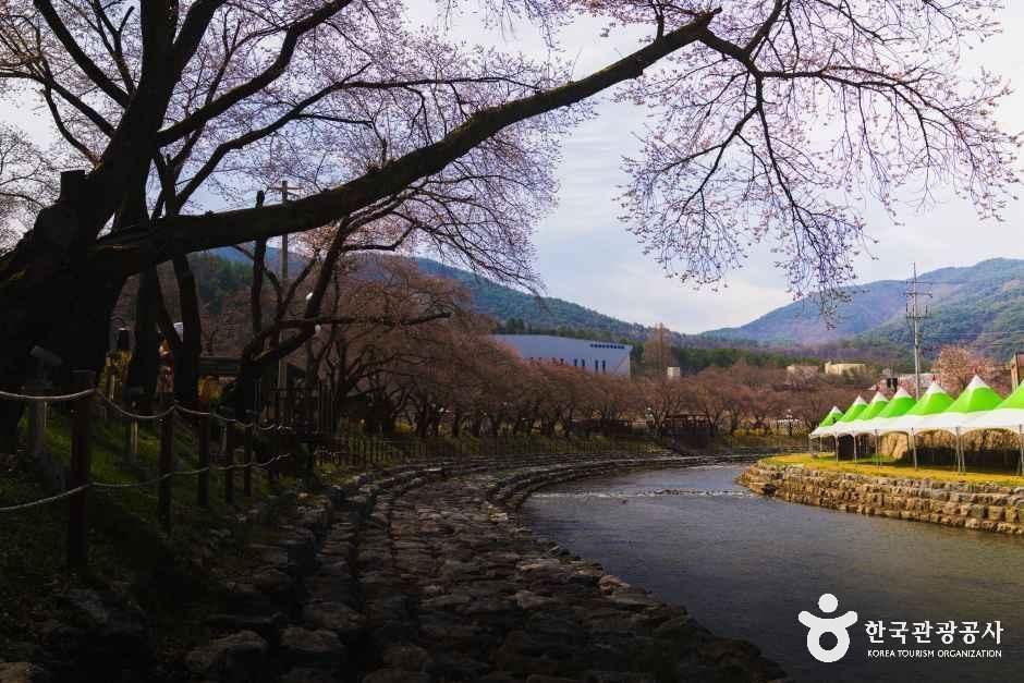 충북_충주_수안보온천관광특구_외부_2.jpg