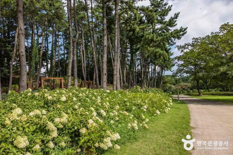 제주_이끼숲소길 (8).jpg