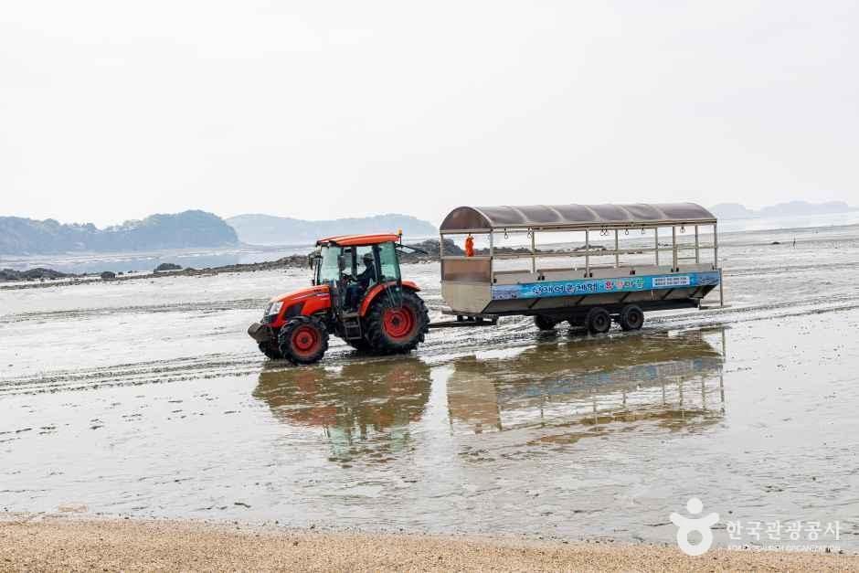 선재도(선재도 어촌체험마을)
