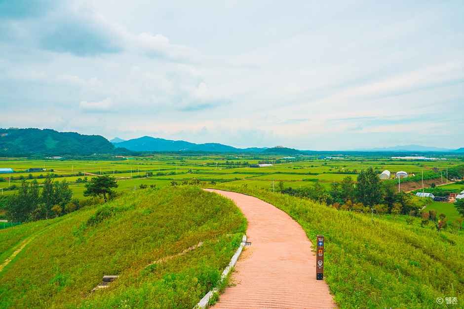丹顶鹤和平村