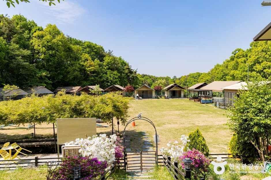 개차반캠핑장