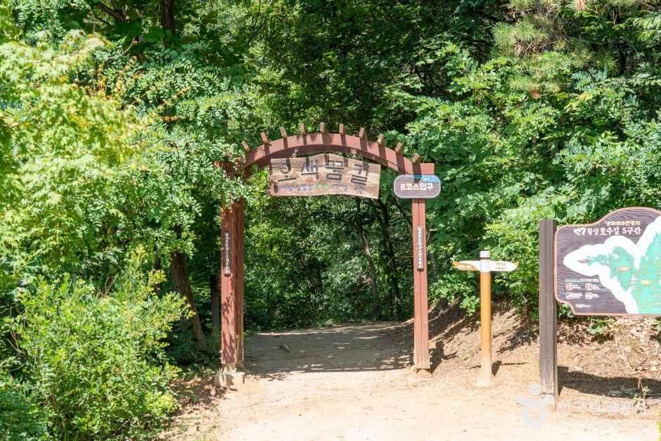 [횡성호수길] 5구간