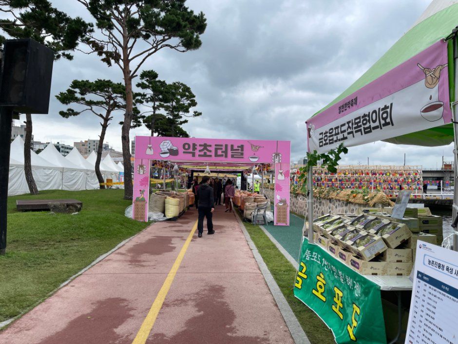 영천한방축제 사진 7