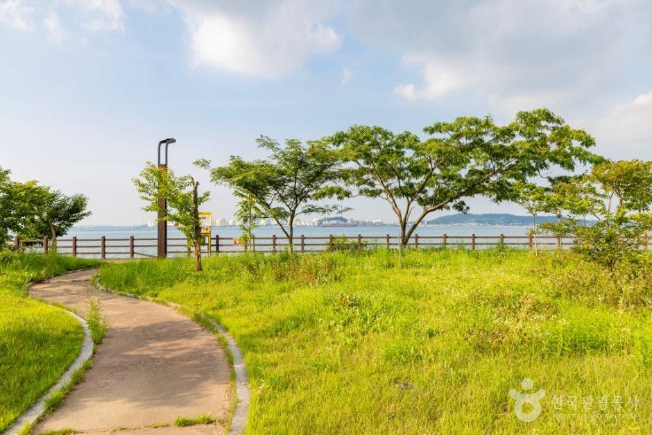 충남_당진시_고대지구근린공원 (5).jpg