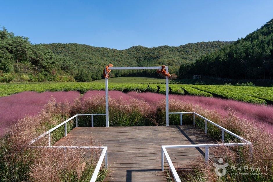 연다원