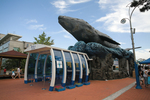 고래박물관