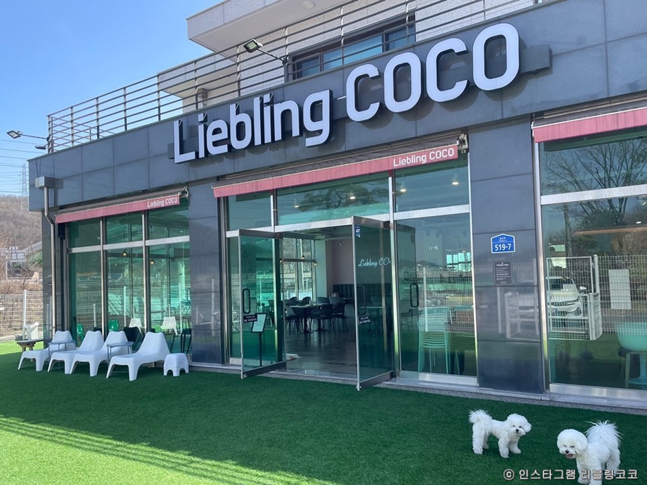 Riblling Coco