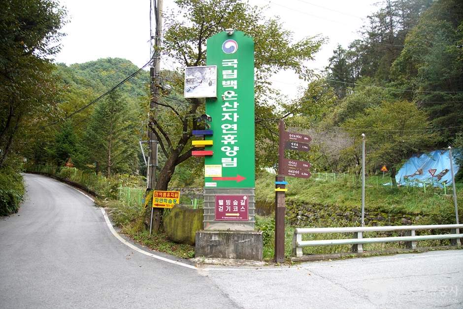 国立白云山自然休养林(原州)