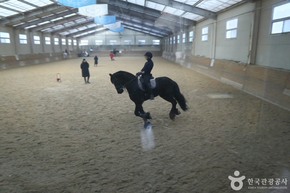 青鶴乗馬クラブ