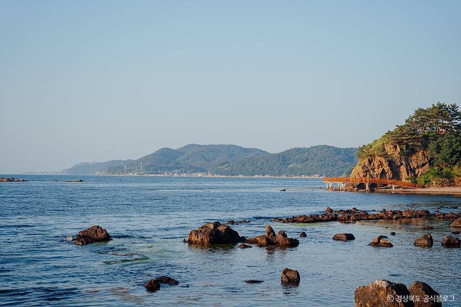 虎尾半島海岸の道