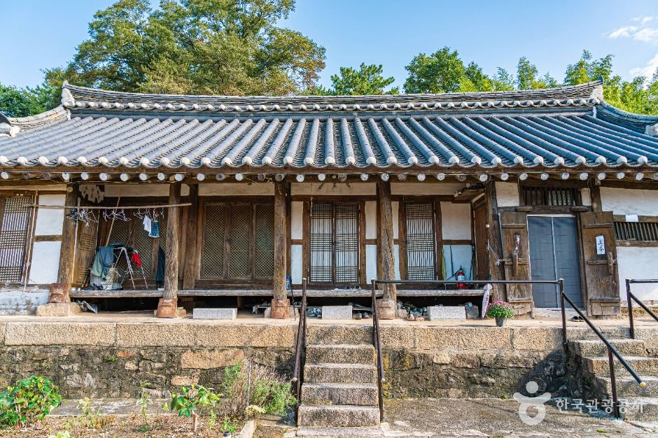 김정회고가