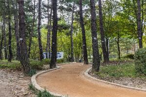 3569087 image3 1 예스키즈존 탐험대 : 실패 없는 육아여행