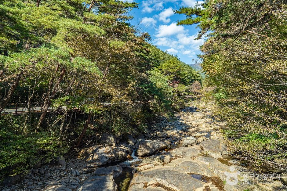 구례 장죽전 녹차시배지