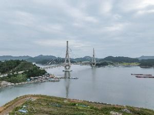 하의도